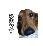 Mr, Jack（個別スタンプ：8）