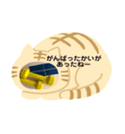 卓球応援するからね（個別スタンプ：17）