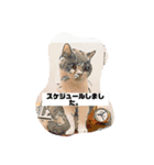 アニメにゃんだらけ（個別スタンプ：2）