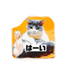 アニメにゃんだらけ（個別スタンプ：6）