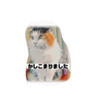 アニメにゃんだらけ（個別スタンプ：7）