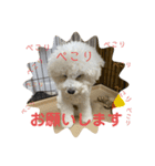 我が家のハク3（個別スタンプ：7）
