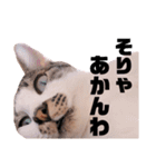 おれ、おれお（個別スタンプ：8）