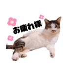 おれ、おれお（個別スタンプ：13）