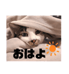 おれ、おれお（個別スタンプ：20）