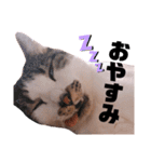 おれ、おれお（個別スタンプ：21）
