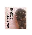 ねことらくがきさんぱーと3（個別スタンプ：10）