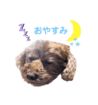 ルナスタンプ+α（個別スタンプ：8）
