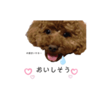 ルナスタンプ+α（個別スタンプ：15）