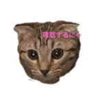 ミモザさんスタンプ2（個別スタンプ：7）