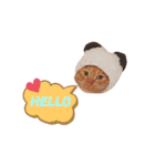 うちのねこ♡♡ 2（個別スタンプ：5）