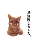 うちのねこ♡♡ 2（個別スタンプ：7）