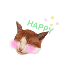 うちのねこ♡♡ 2（個別スタンプ：18）