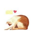 うちのねこ♡♡ 2（個別スタンプ：26）