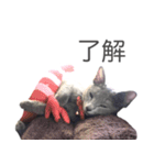 我が家のロシアンブルー（個別スタンプ：29）