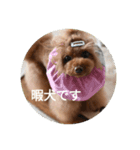 こはるの会話（個別スタンプ：2）