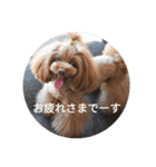 こはるの会話（個別スタンプ：3）