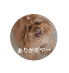 こはるの会話（個別スタンプ：4）