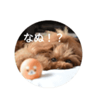こはるの会話（個別スタンプ：6）