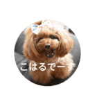 こはるの会話（個別スタンプ：7）