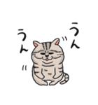 動物たちのゆるい会話スタンプ（個別スタンプ：11）