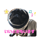 パグはPUG vol.7（個別スタンプ：4）