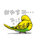 インコのおから（個別スタンプ：13）