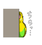 インコのおから（個別スタンプ：14）