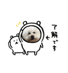 ガウガウ犬のレオン君（個別スタンプ：2）