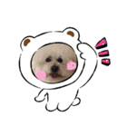 ガウガウ犬のレオン君（個別スタンプ：3）