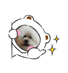 ガウガウ犬のレオン君（個別スタンプ：5）