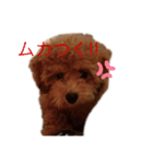 愛犬の日常スタンプ1（個別スタンプ：14）