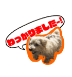 マイペース犬 おこげ（個別スタンプ：2）