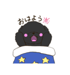 くろもこ（個別スタンプ：1）