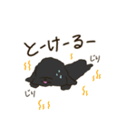 くろもこ（個別スタンプ：39）