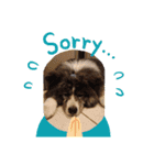 秋田犬 虎毛 -サスケ-（個別スタンプ：15）
