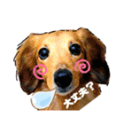ライト動物病院 ver.1 2020（個別スタンプ：6）