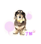 ライト動物病院 ver.1 2020（個別スタンプ：13）