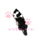 たむぅパート2（個別スタンプ：1）