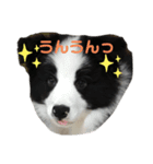 たむぅパート2（個別スタンプ：2）