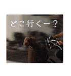 小澤家用スタンプ（個別スタンプ：14）