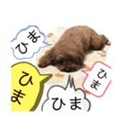 小澤家用スタンプ（個別スタンプ：20）