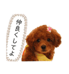 小澤家用スタンプ（個別スタンプ：27）