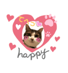ねこにゃんスタンプ ③（個別スタンプ：1）