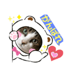 ねこにゃんスタンプ ③（個別スタンプ：3）