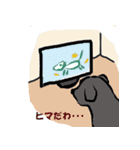 Marimoちゃん 02（個別スタンプ：12）