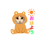 あざーる＆テッド（個別スタンプ：2）