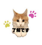 あざーる＆テッド（個別スタンプ：3）