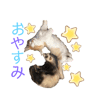 あざーる＆テッド（個別スタンプ：5）