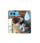 ぼことぼく2（個別スタンプ：7）